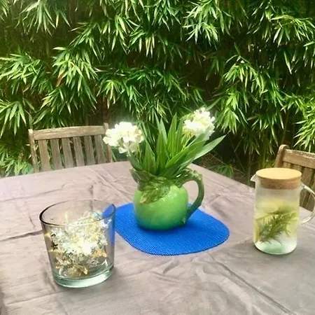 Serenity Chambre D'hote Au Calme Des Maitres Tibetains Y Ont Sejourne 15 Mn Des Plages Accommodatie bij particulieren Mougins